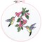 Dimensions Learn-A-Craft Counted Cross Stitch Kit 6" Round-Hummingbird Duo